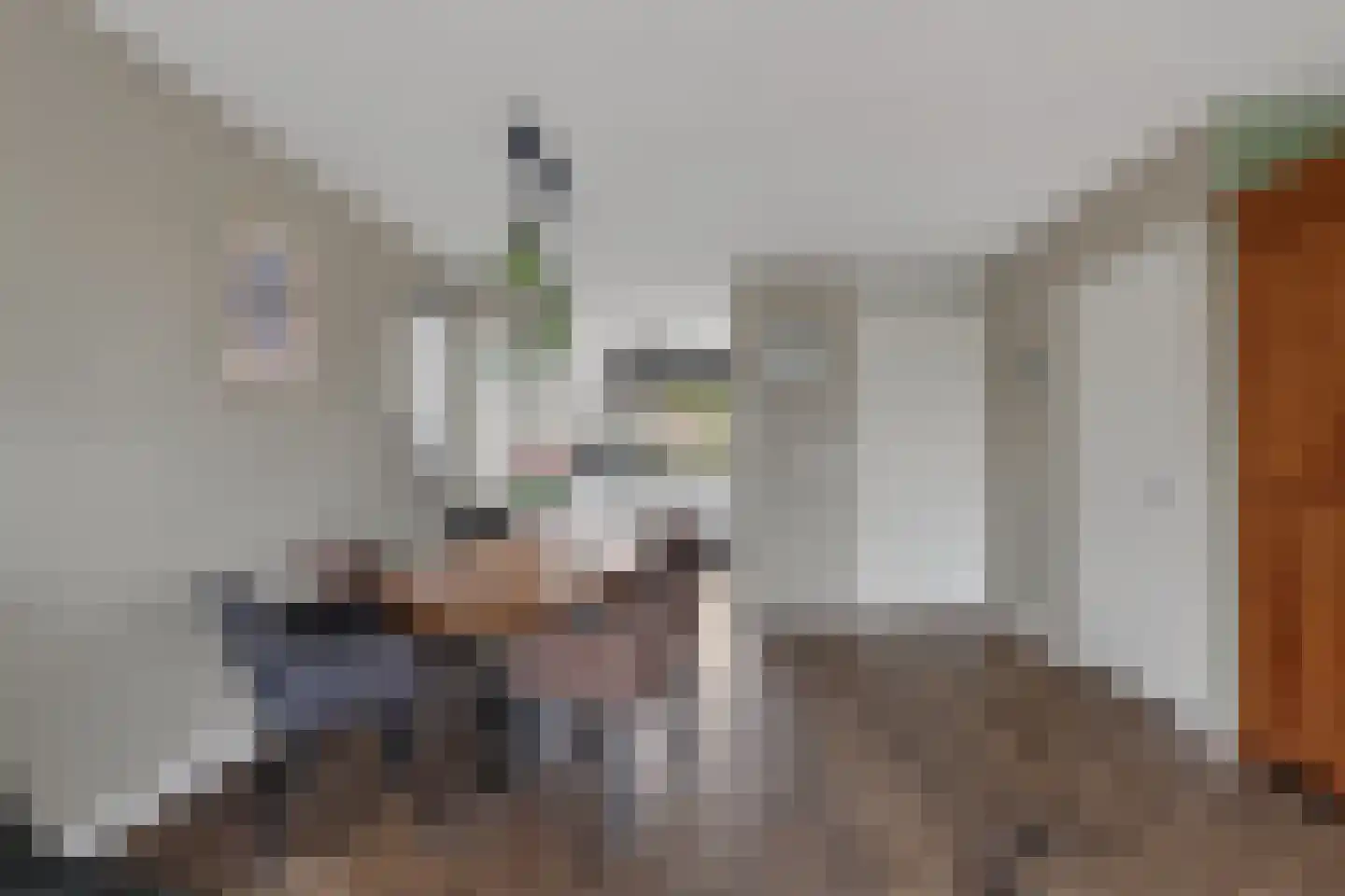 Ambachtssingel 83 Zevenhuizen thumbnail 9