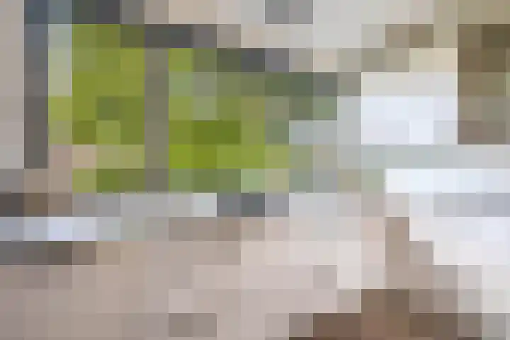Ambachtssingel 90 Zevenhuizen thumbnail 12