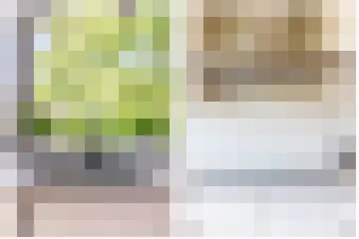 Ambachtssingel 90 Zevenhuizen thumbnail 14