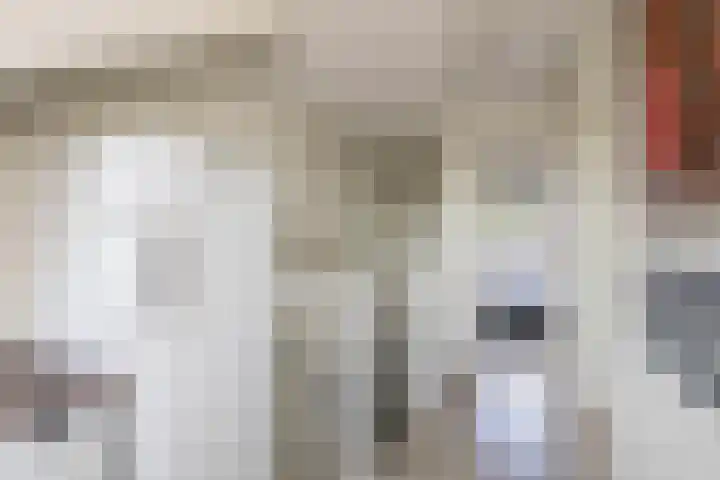 Ambachtssingel 90 Zevenhuizen thumbnail 27