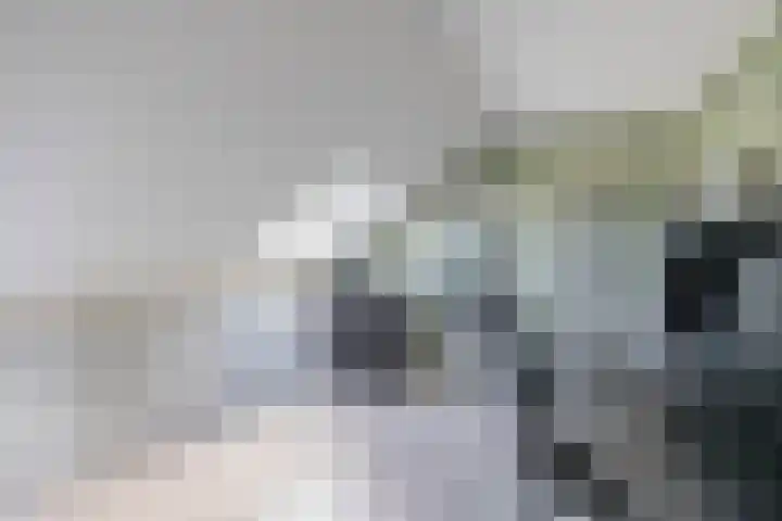 Ambachtssingel 90 Zevenhuizen thumbnail 28