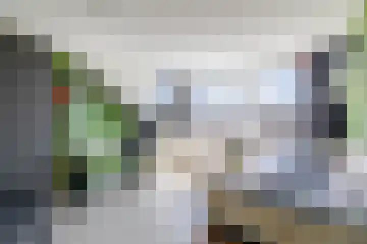 Ambachtssingel 90 Zevenhuizen thumbnail 30