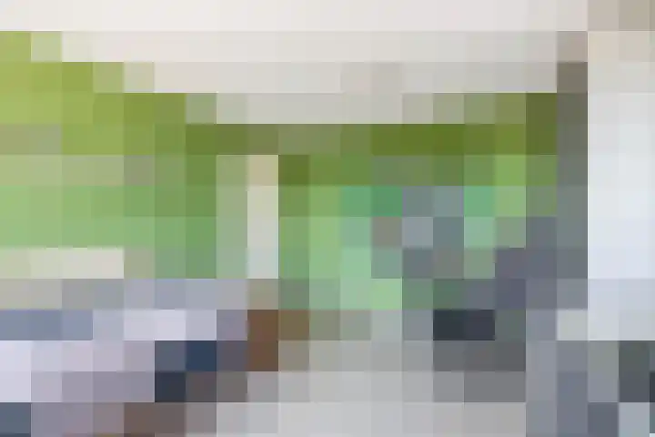 Ambachtssingel 90 Zevenhuizen thumbnail 31