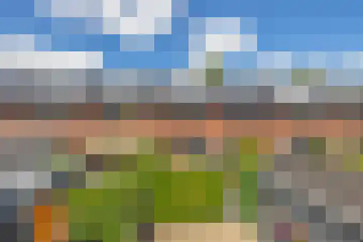 Ambachtssingel 90 Zevenhuizen thumbnail 32