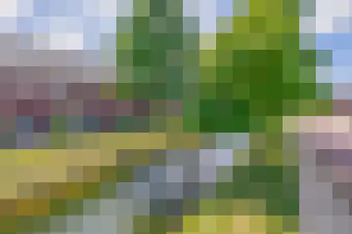 Ambachtssingel 90 Zevenhuizen thumbnail 37