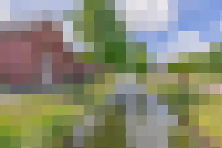 Ambachtssingel 90 Zevenhuizen thumbnail 38