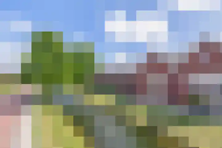 Ambachtssingel 90 Zevenhuizen thumbnail 39