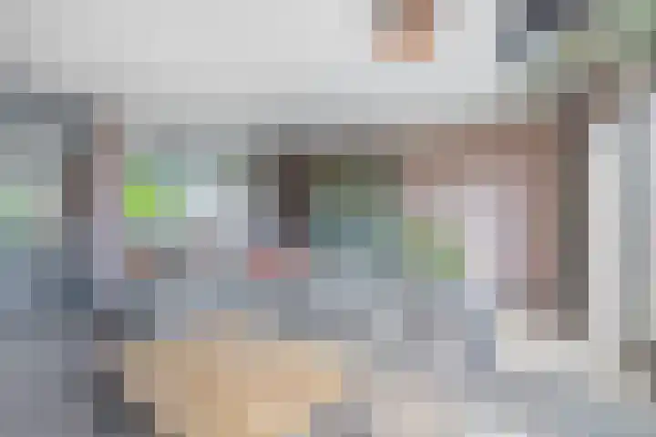 Ambachtssingel 90 Zevenhuizen thumbnail 8