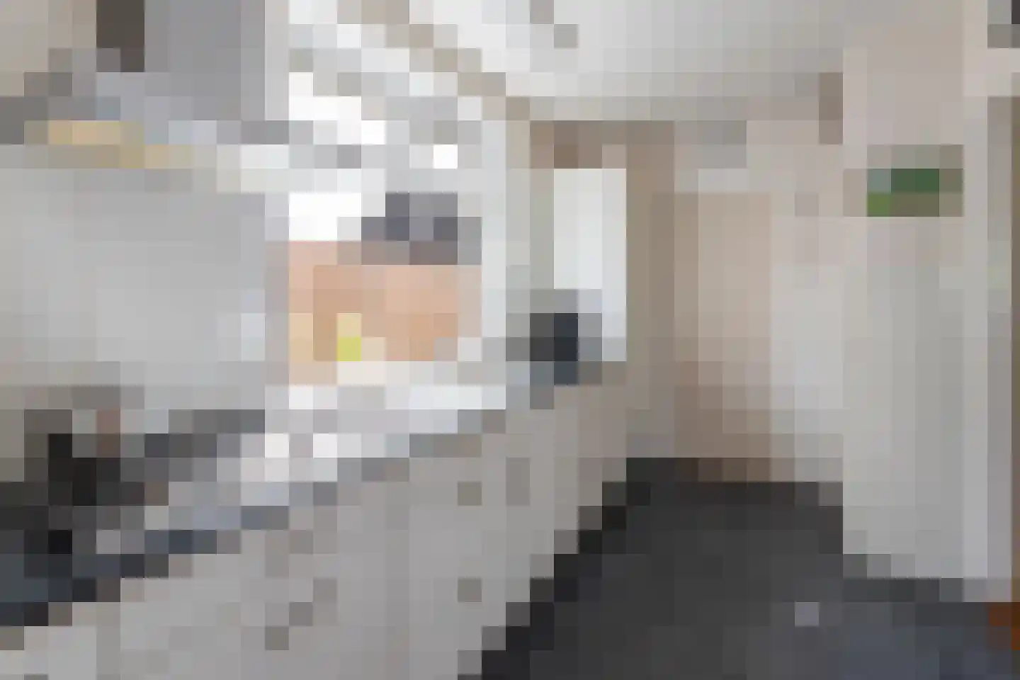 Ambachtsstraat 17 Nieuw Heeten thumbnail 12