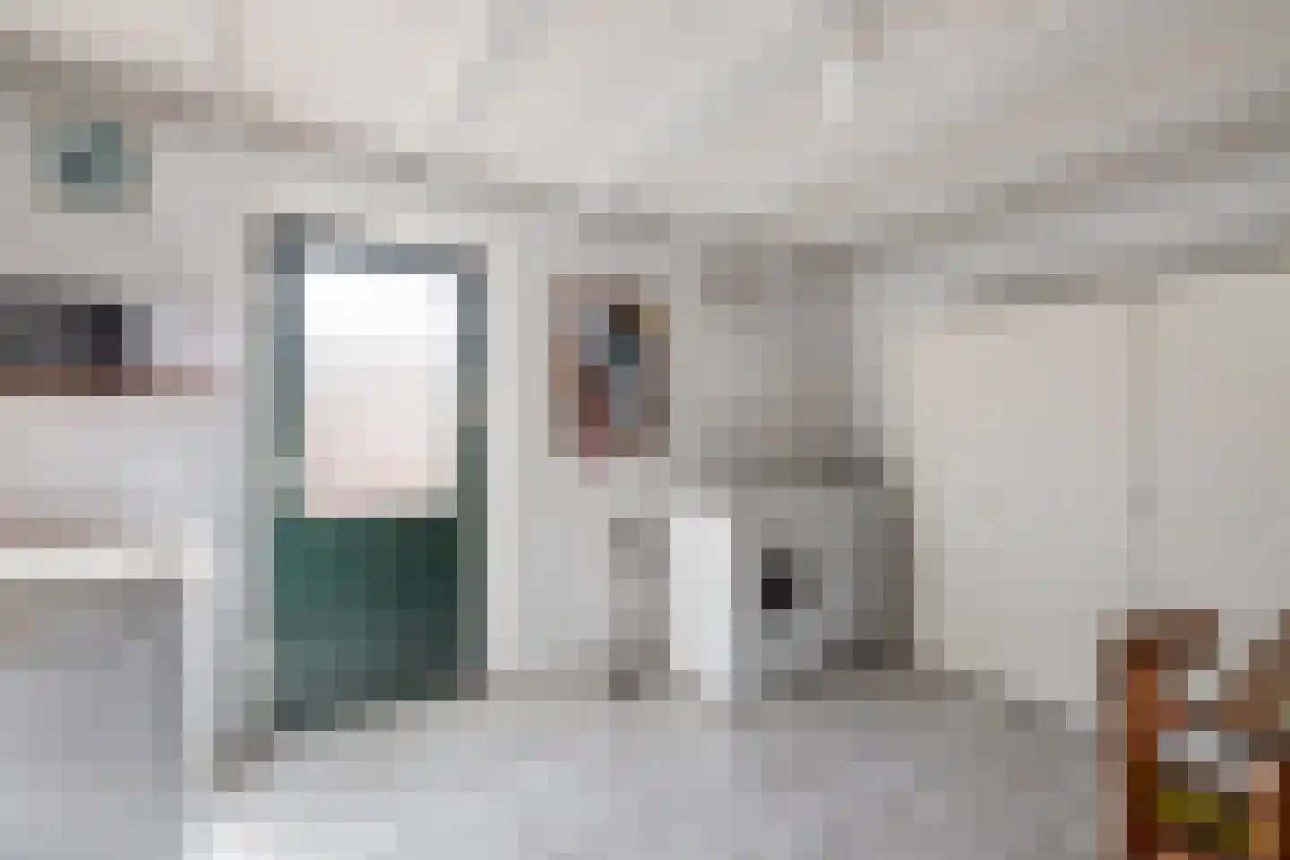 Ambachtsstraat 17 Nieuw Heeten thumbnail 13