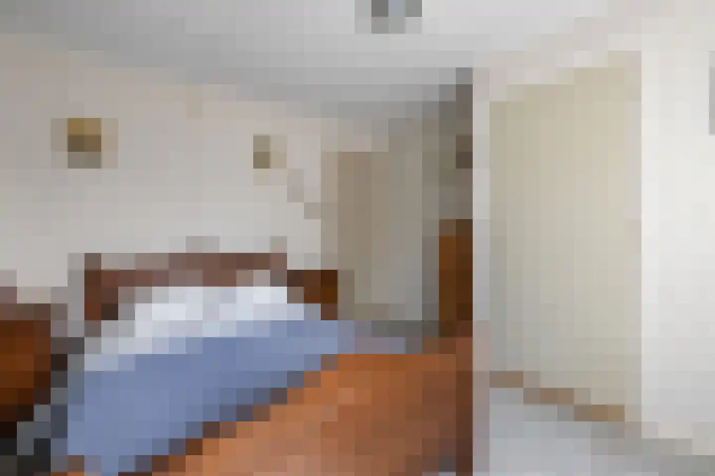 Ambachtsstraat 17 Nieuw Heeten thumbnail 17