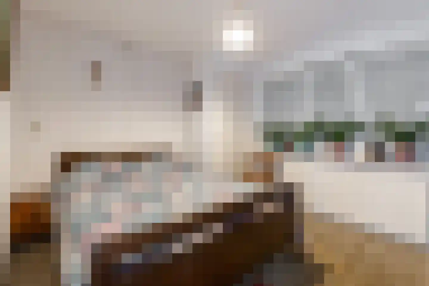 Ambachtsstraat 17 Nieuw Heeten thumbnail 18