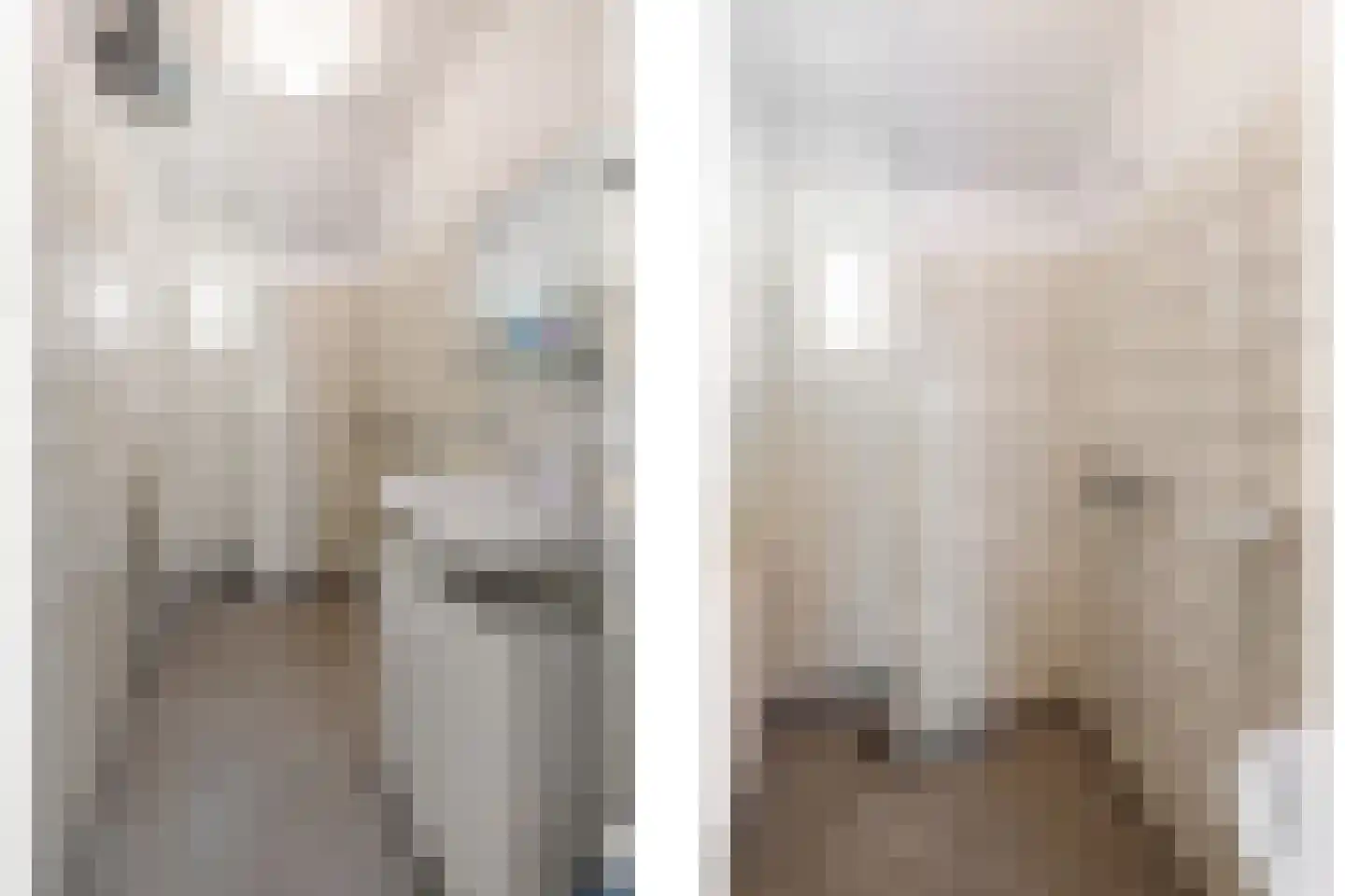 Ambachtsstraat 17 Nieuw Heeten thumbnail 20
