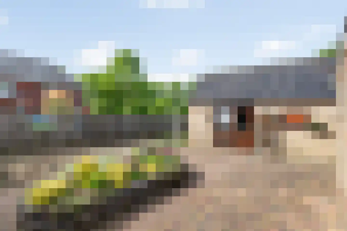Ambachtsstraat 17 Nieuw Heeten thumbnail 26