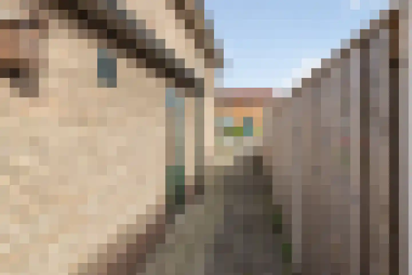 Ambachtsstraat 17 Nieuw Heeten thumbnail 33