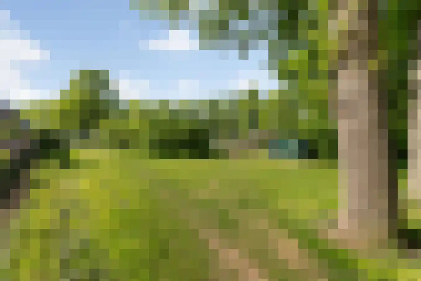 Ambachtsstraat 17 Nieuw Heeten thumbnail 4