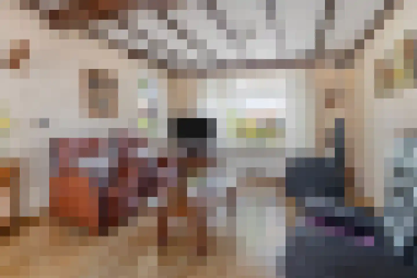 Ambachtsstraat 17 Nieuw Heeten thumbnail 7
