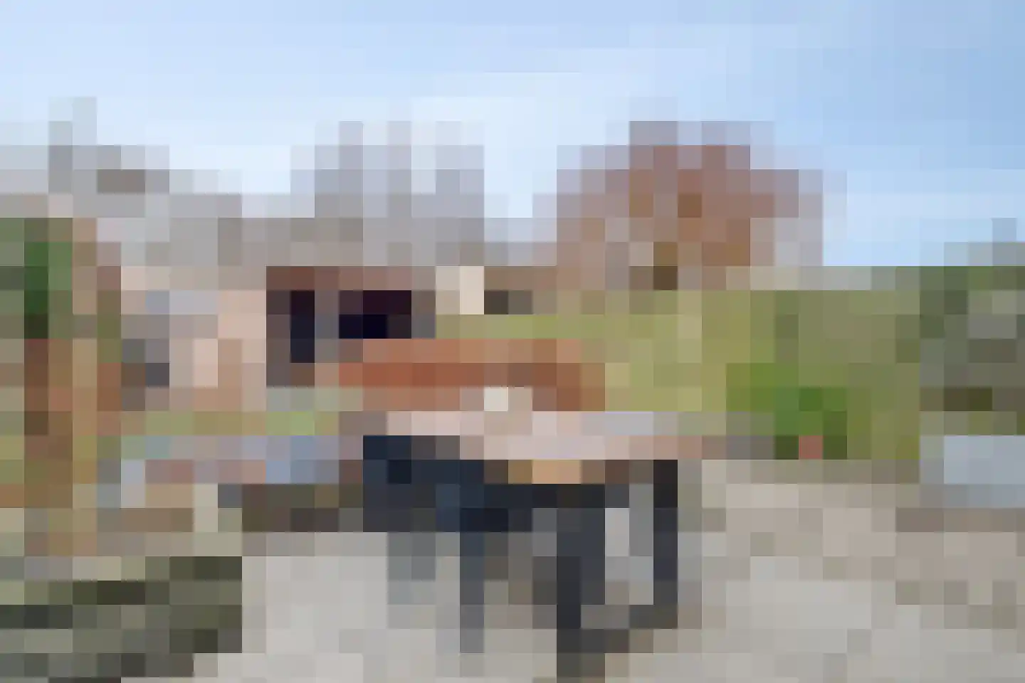 Ambachtsstraat 19 's-Gravenpolder thumbnail 27
