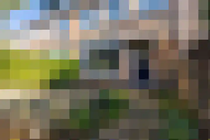 Ambachtsstraat 3 Schoonhoven thumbnail 6