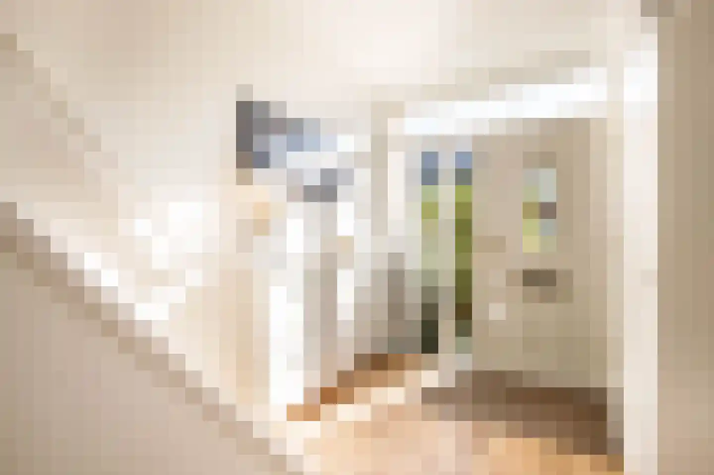 Ambachtsstraat 32 Schoonhoven thumbnail 7