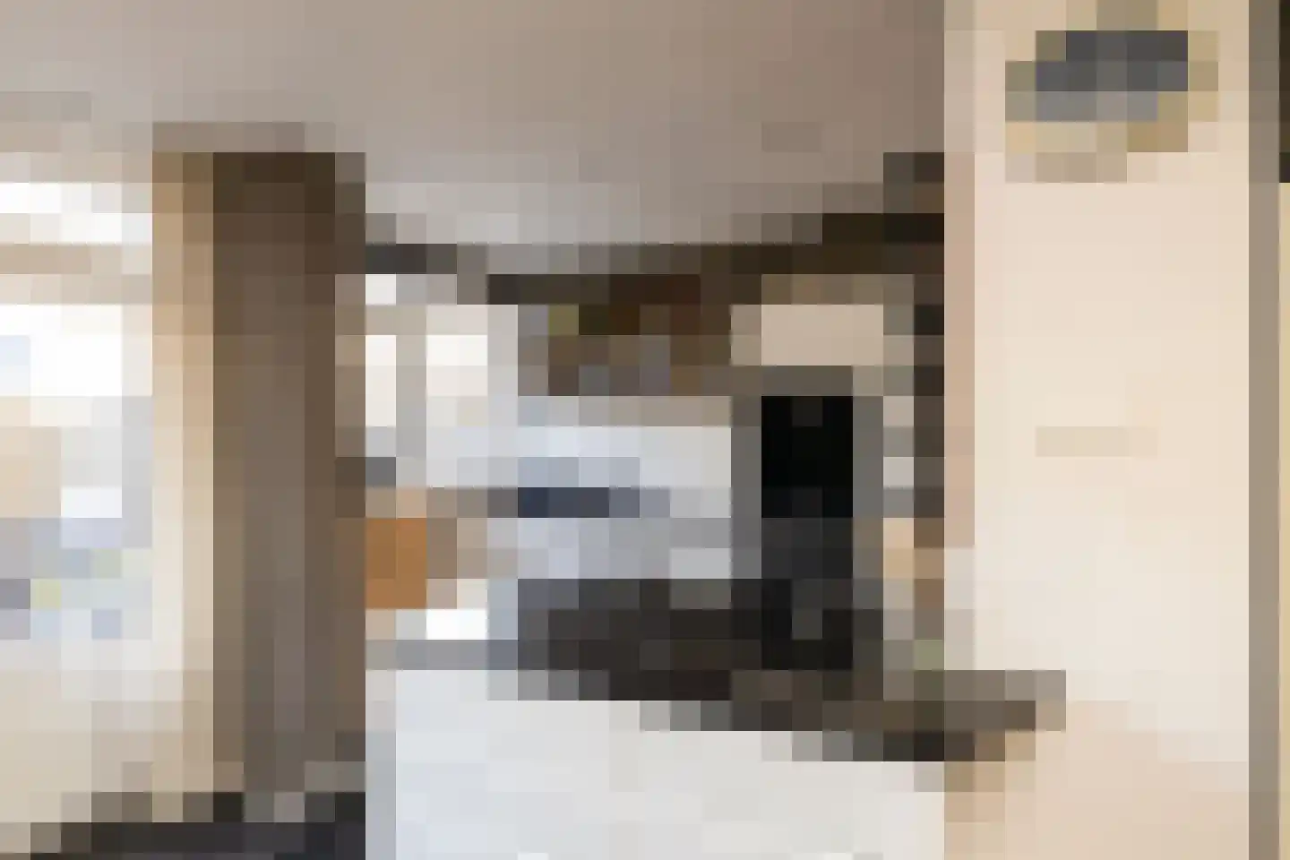 Ambachtsstraat 4 Schoonhoven thumbnail 18