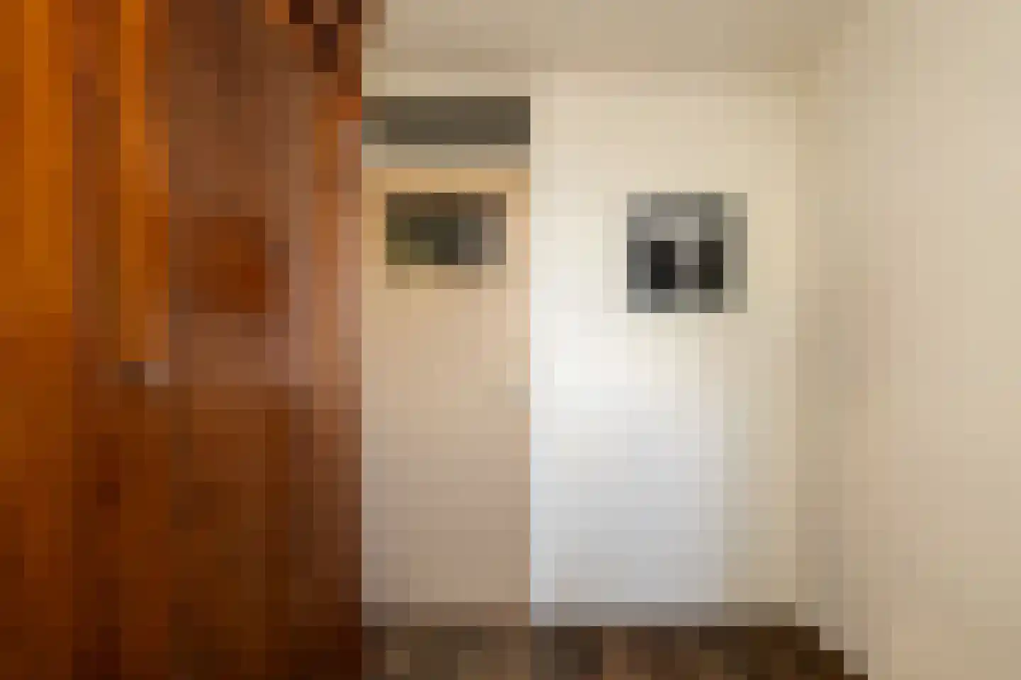 Ambachtsstraat 4 Schoonhoven thumbnail 35