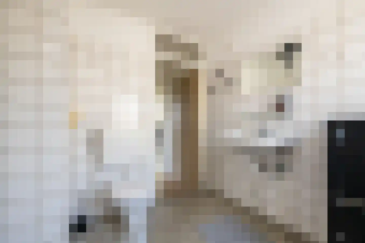 Ambachtsstraat 4 Schoonhoven thumbnail 38
