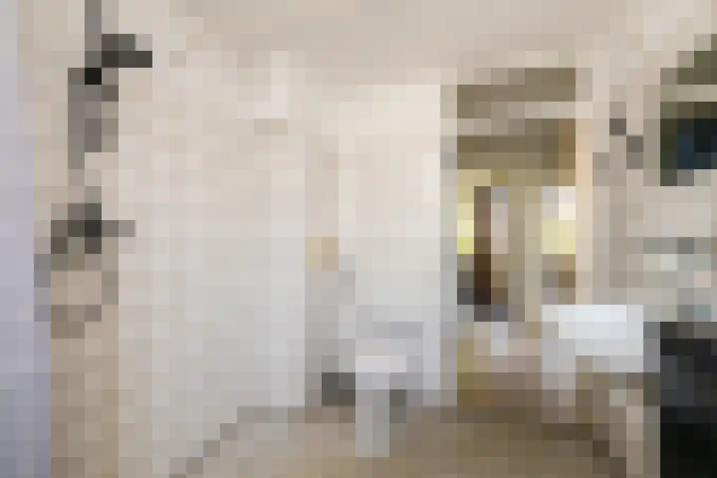 Ambachtsstraat 4 Schoonhoven thumbnail 4