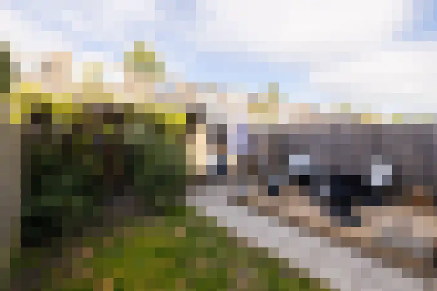 Ambachtsstraat 4 Schoonhoven thumbnail 48