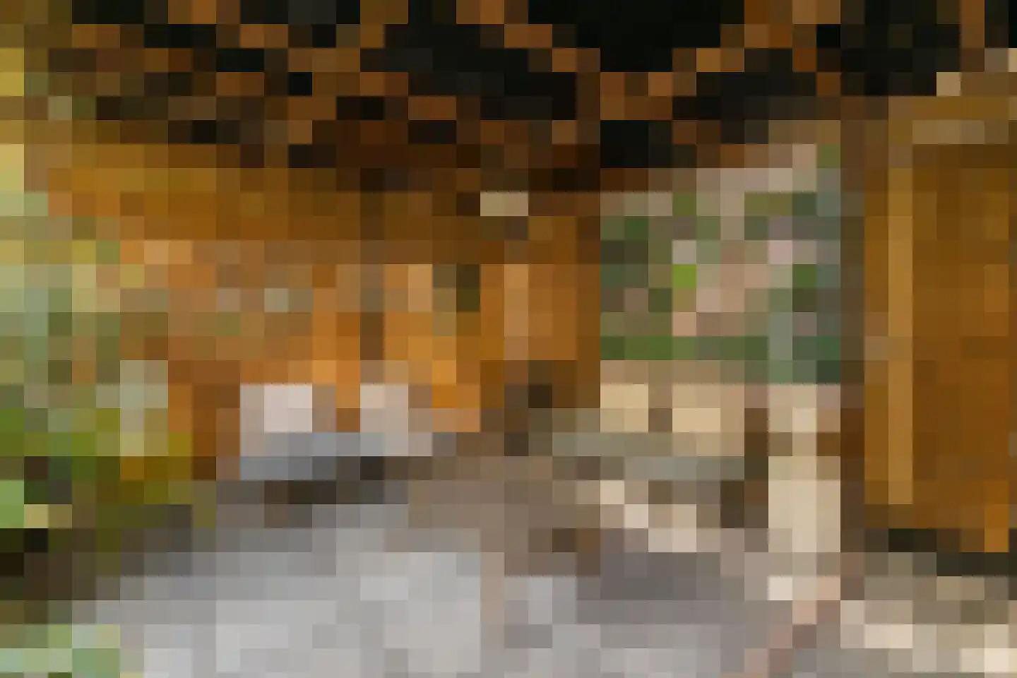 Ambachtsstraat 4 Schoonhoven thumbnail 53