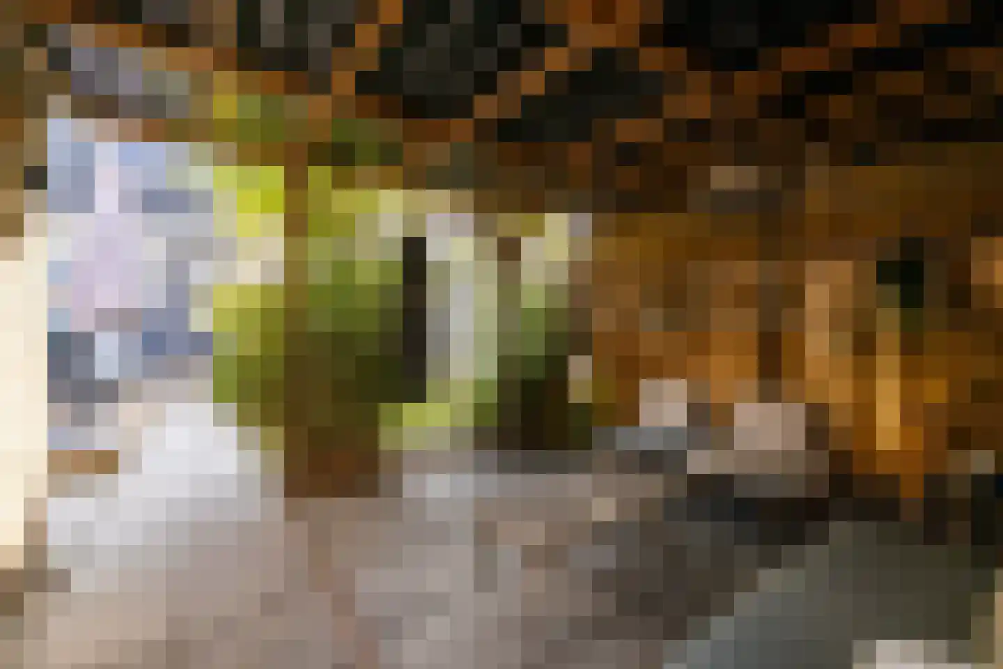 Ambachtsstraat 4 Schoonhoven thumbnail 54
