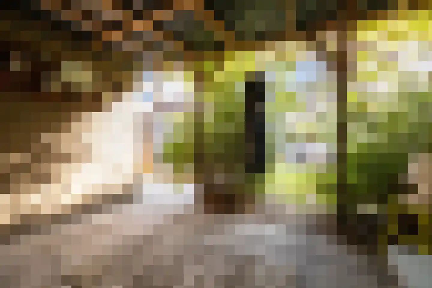 Ambachtsstraat 4 Schoonhoven thumbnail 55