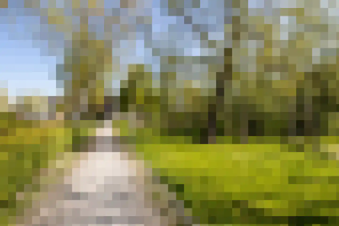 Ambachtsstraat 4 Schoonhoven thumbnail 6