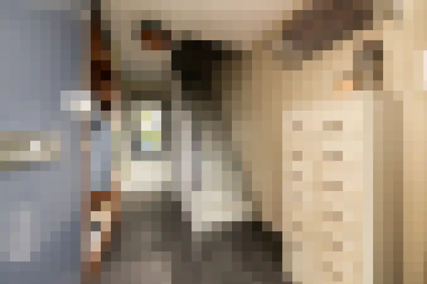 Ambachtsstraat 4 Schoonhoven thumbnail 8