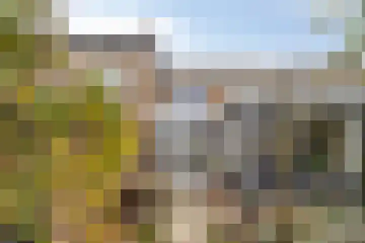 Ambachtsstraat 49 's-Gravenpolder thumbnail 23