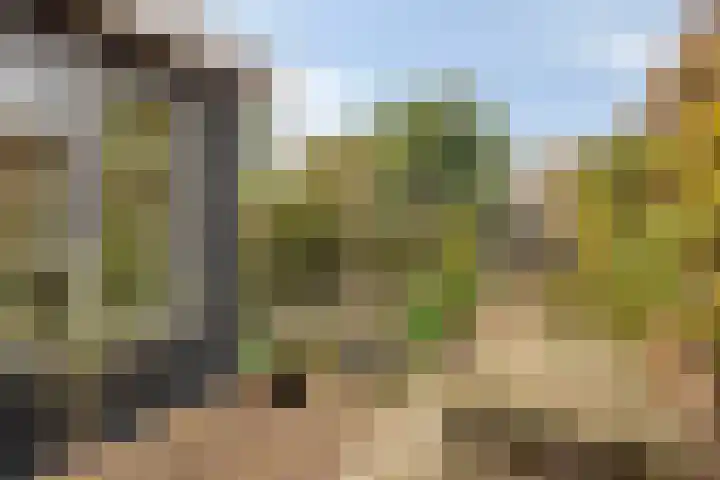 Ambachtsstraat 49 's-Gravenpolder thumbnail 26