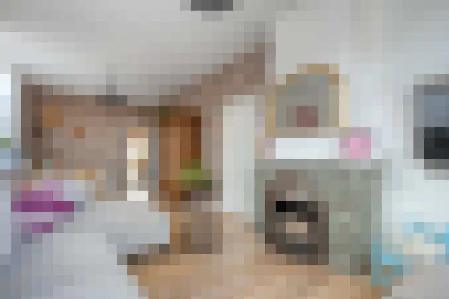 Ambachtsstraat 5 Nieuw Heeten thumbnail 10