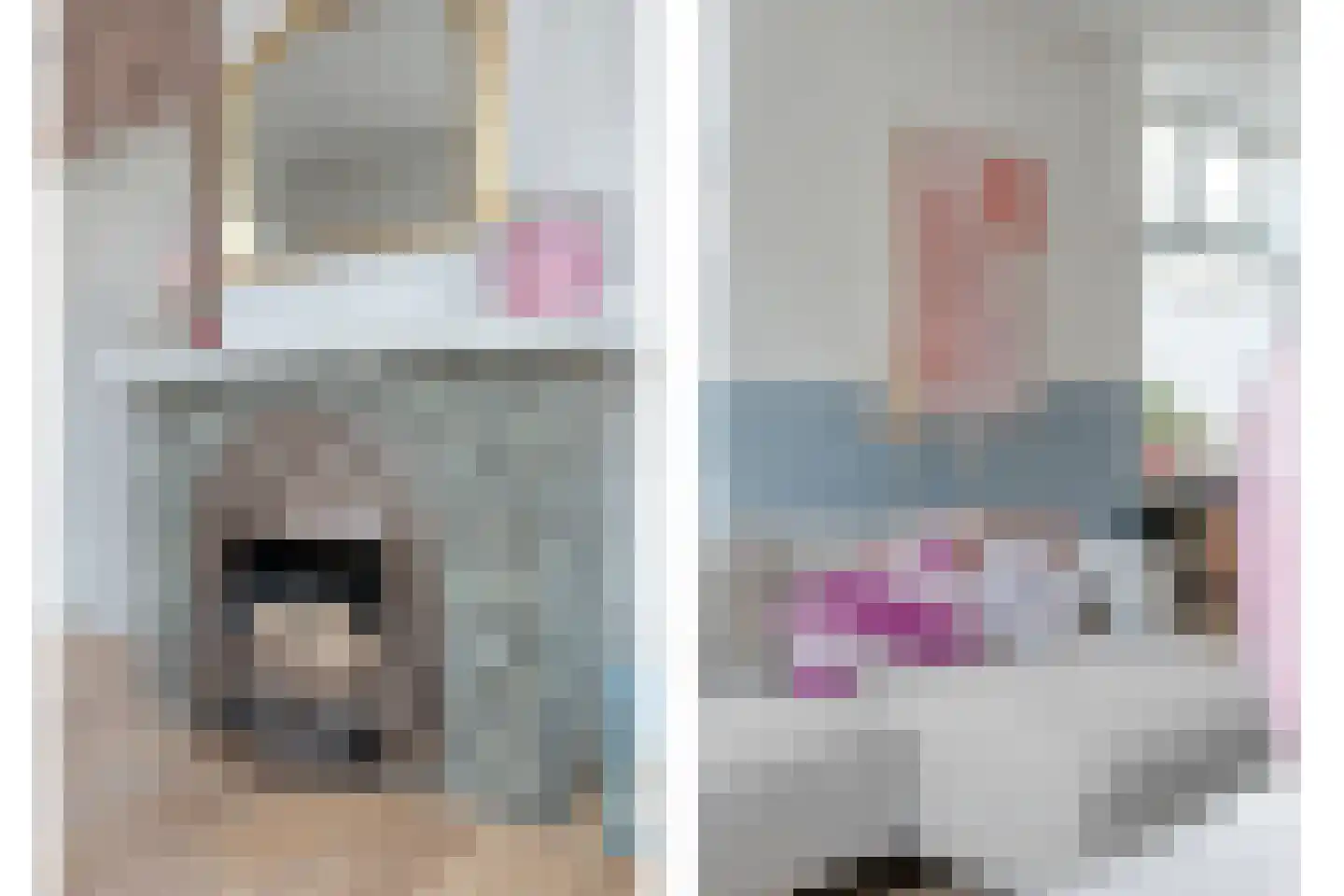 Ambachtsstraat 5 Nieuw Heeten thumbnail 11