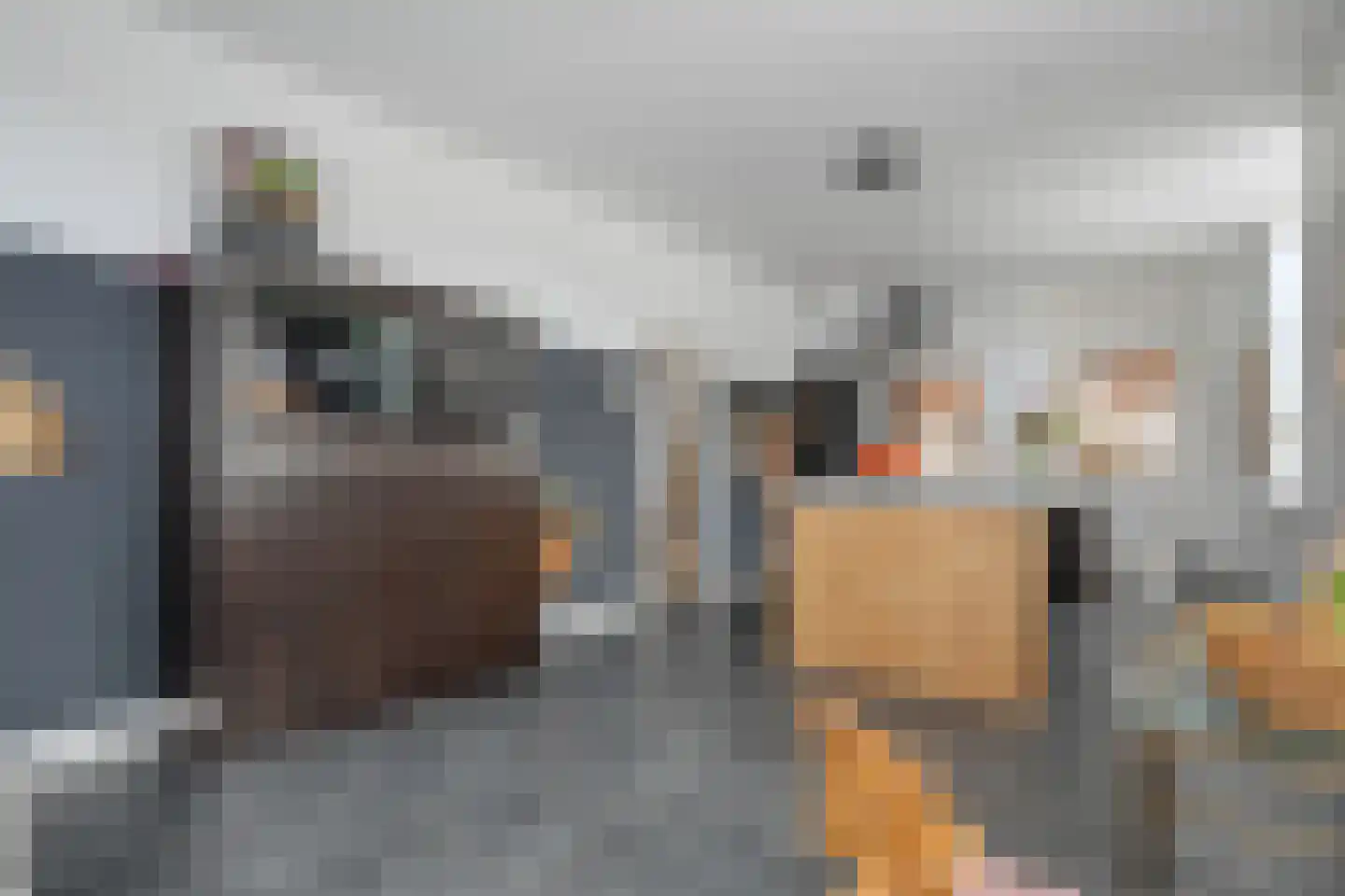 Ambachtsstraat 5 Nieuw Heeten thumbnail 12