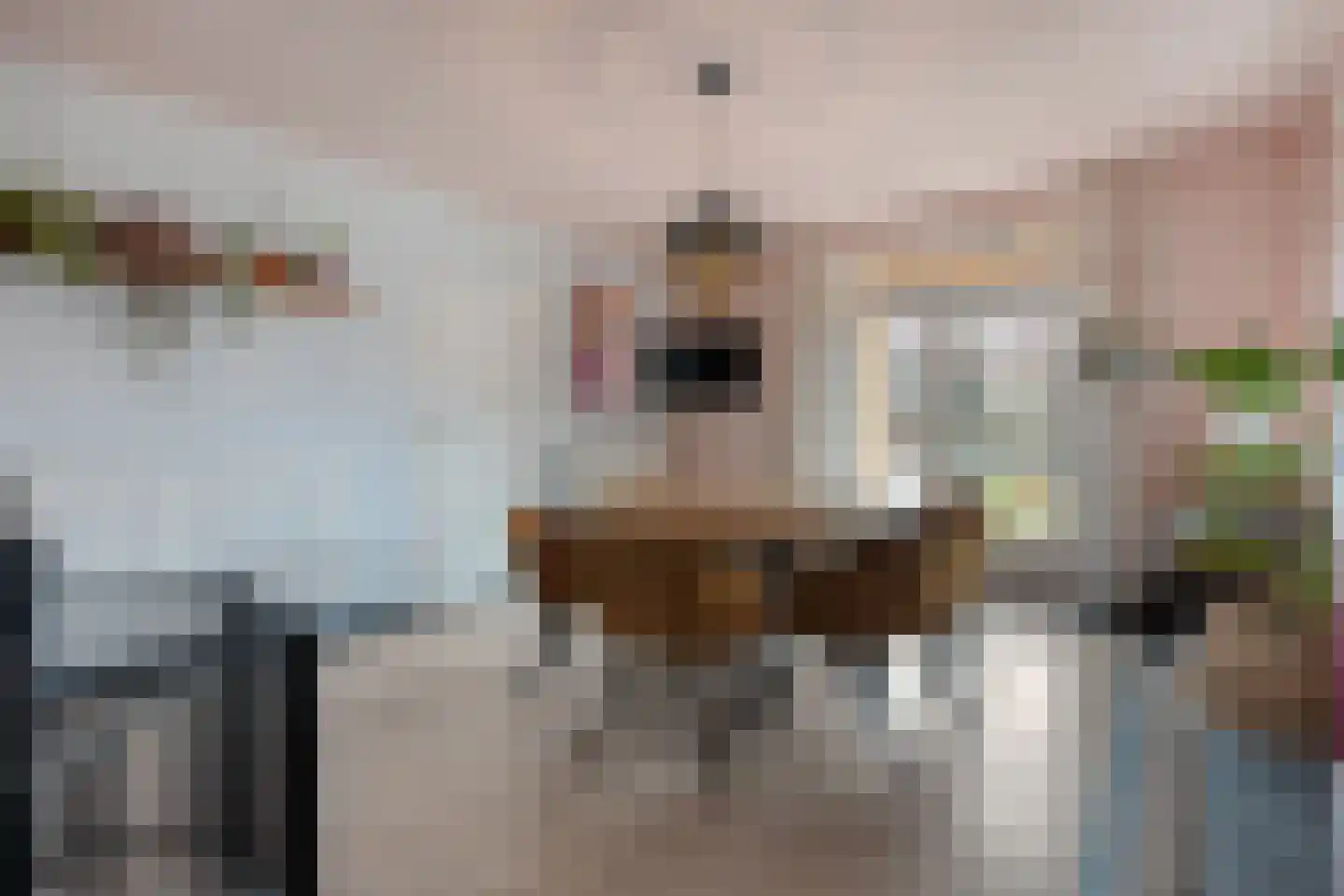 Ambachtsstraat 5 Nieuw Heeten thumbnail 22