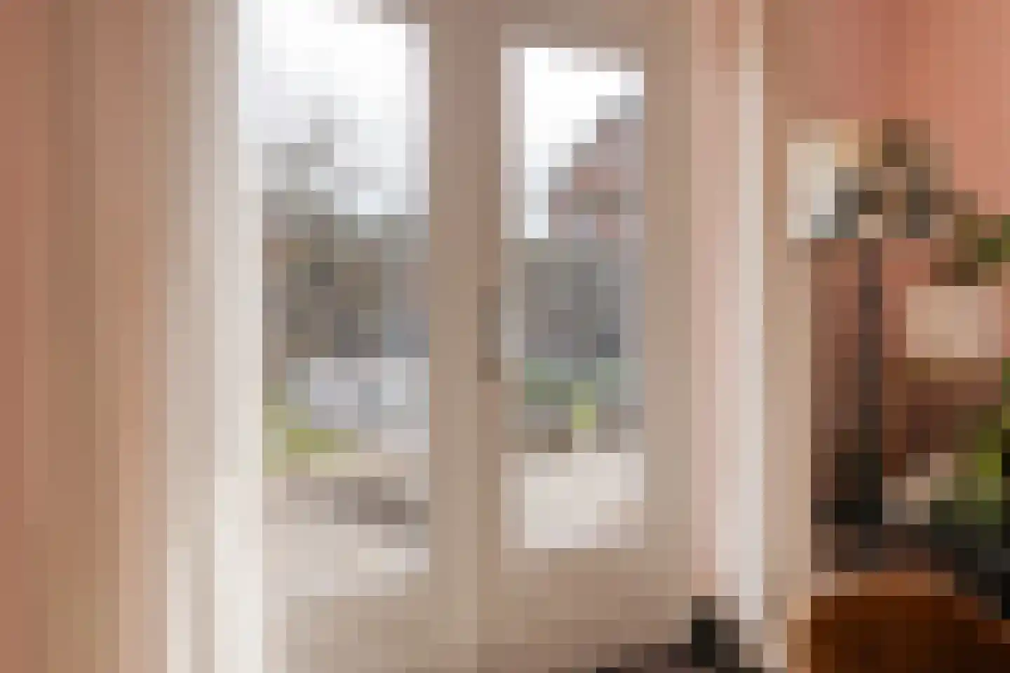 Ambachtsstraat 5 Nieuw Heeten thumbnail 25