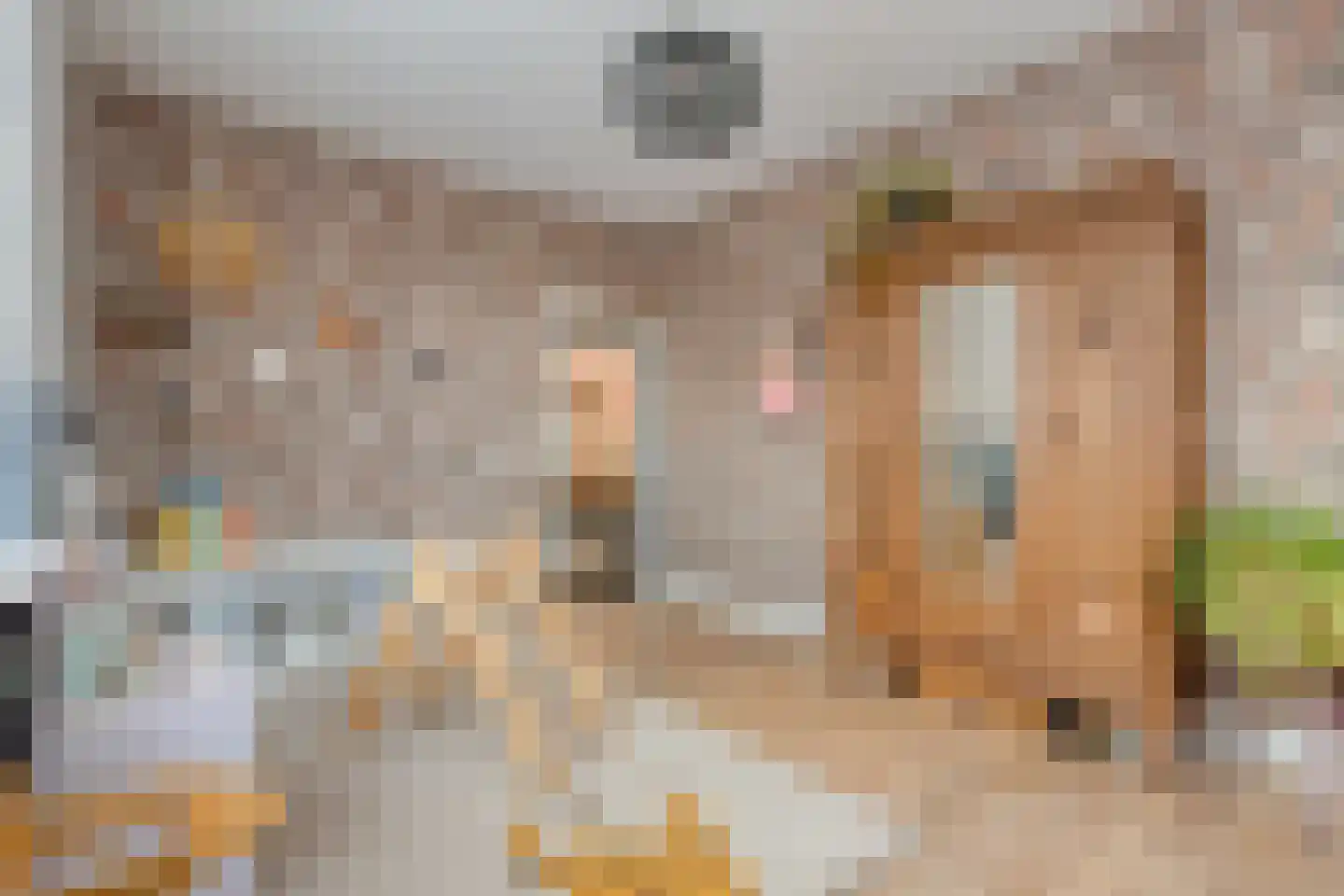 Ambachtsstraat 5 Nieuw Heeten thumbnail 27