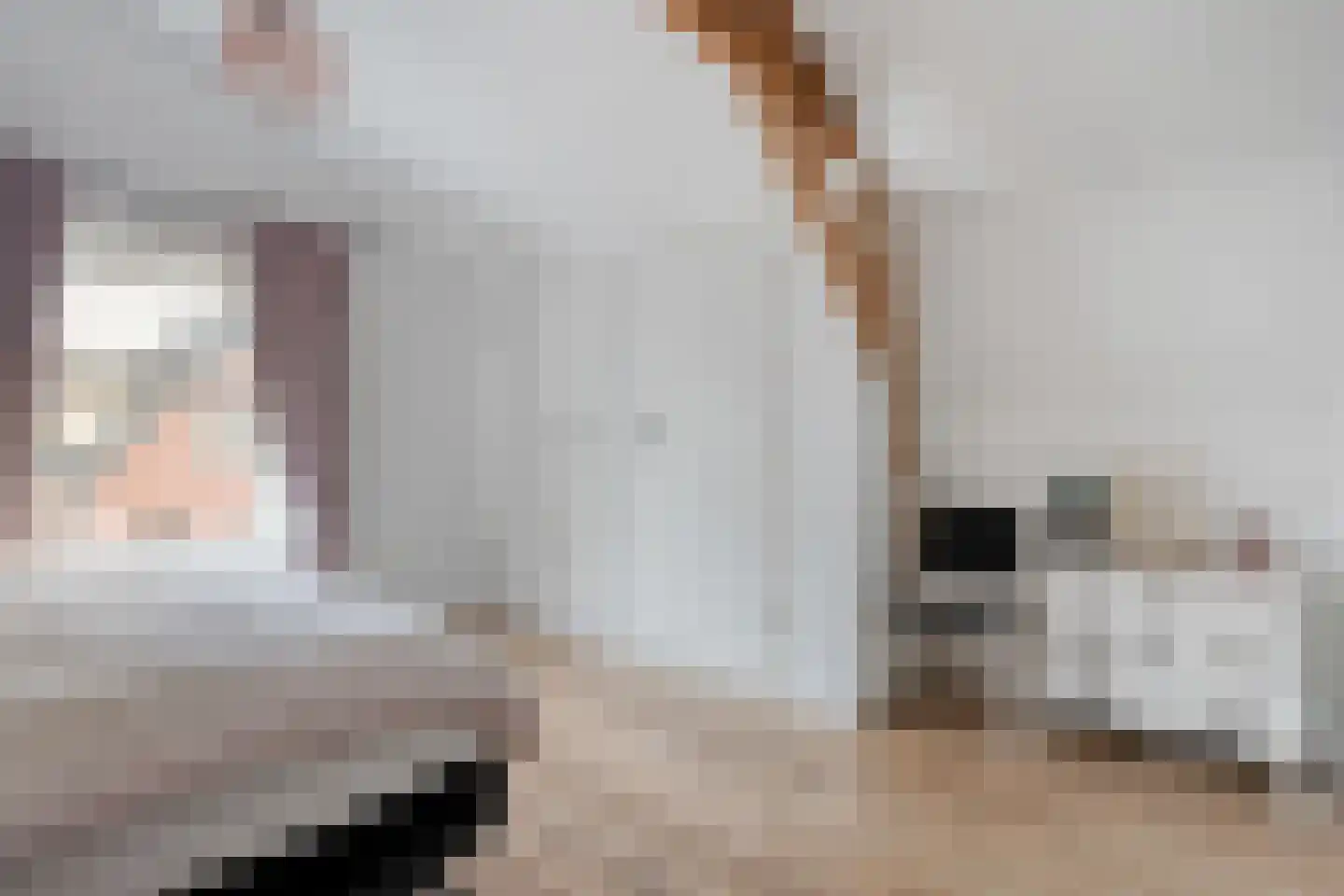 Ambachtsstraat 5 Nieuw Heeten thumbnail 32