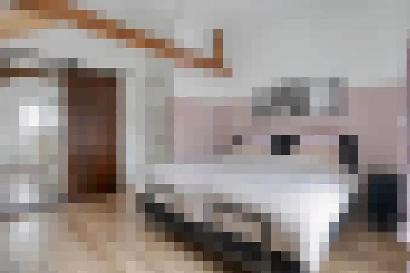 Ambachtsstraat 5 Nieuw Heeten thumbnail 33