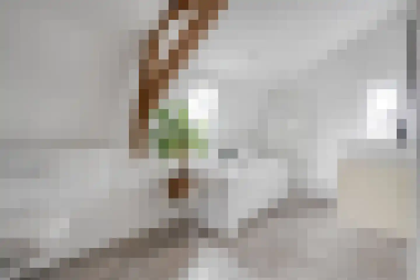 Ambachtsstraat 5 Nieuw Heeten thumbnail 34