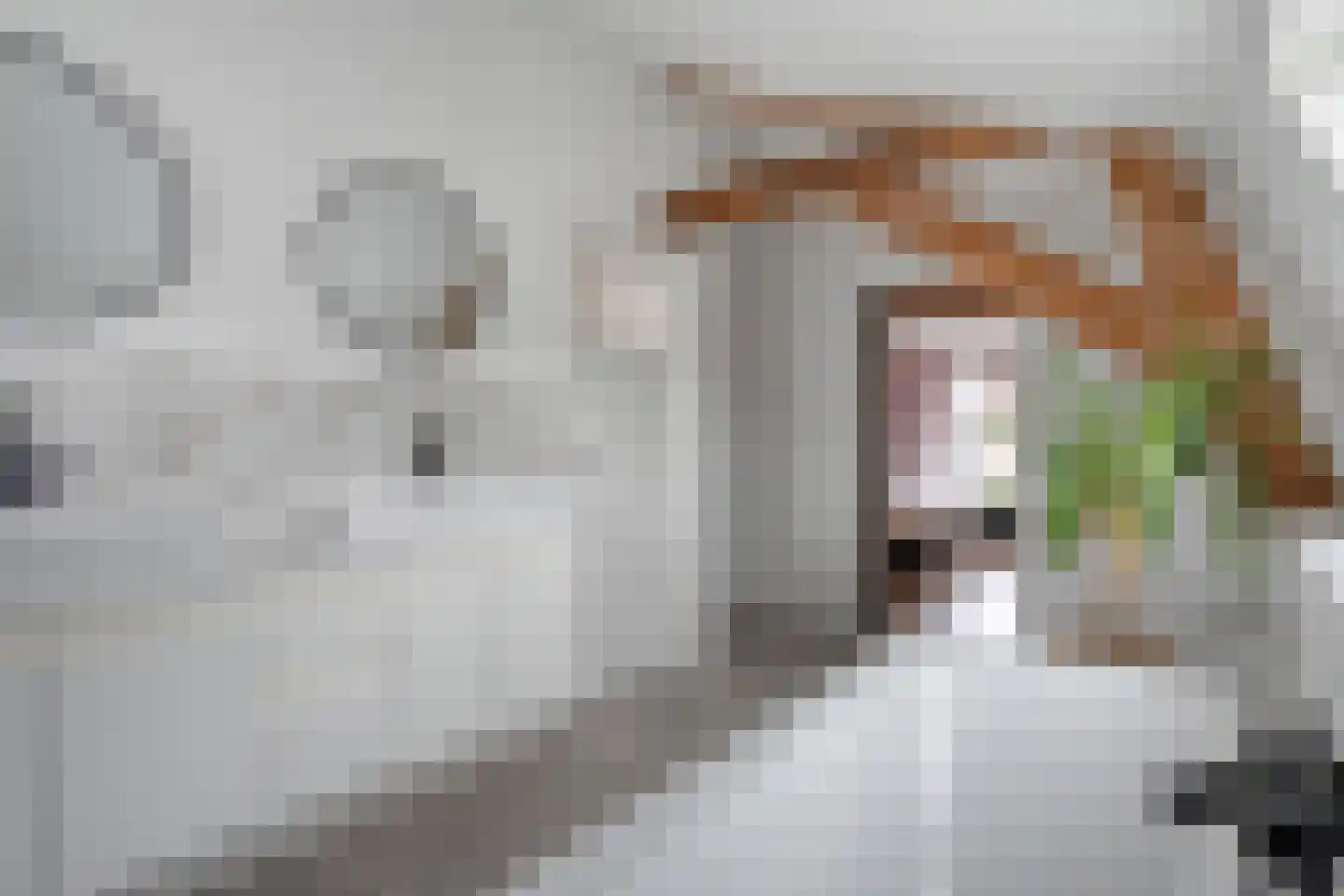 Ambachtsstraat 5 Nieuw Heeten thumbnail 35