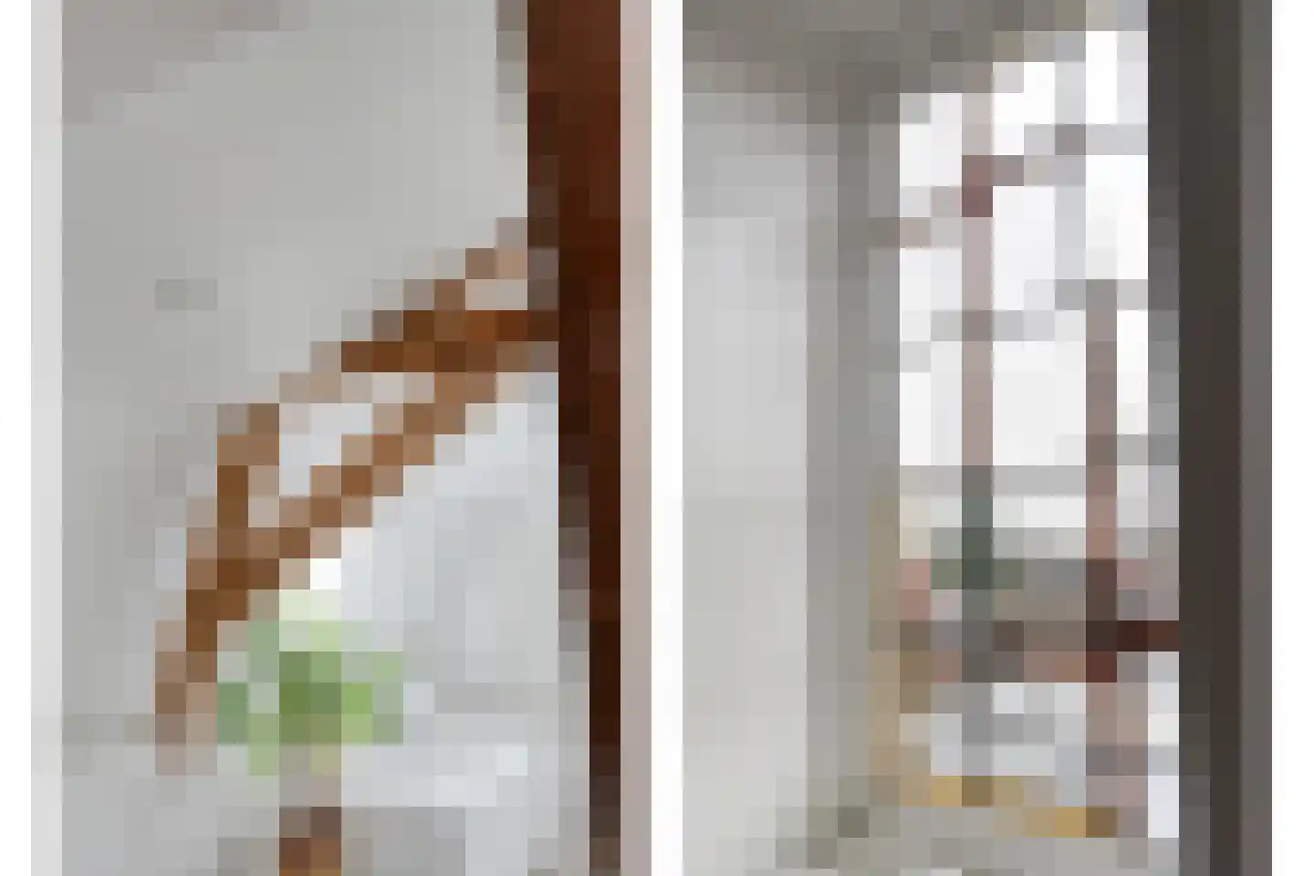 Ambachtsstraat 5 Nieuw Heeten thumbnail 38