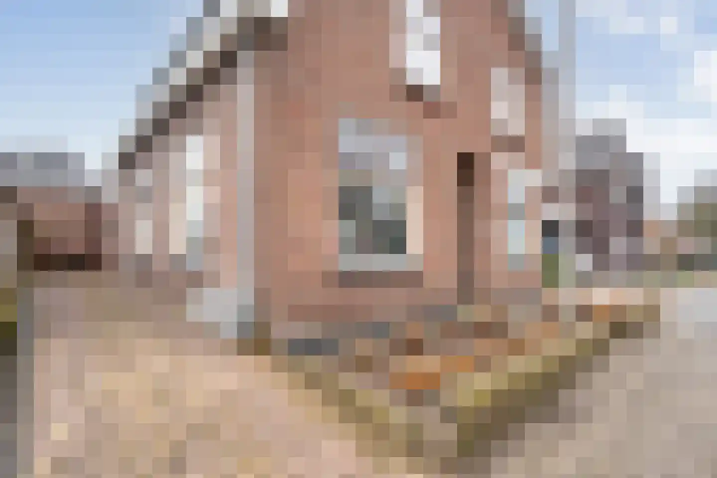 Ambachtsstraat 5 Nieuw Heeten thumbnail 4