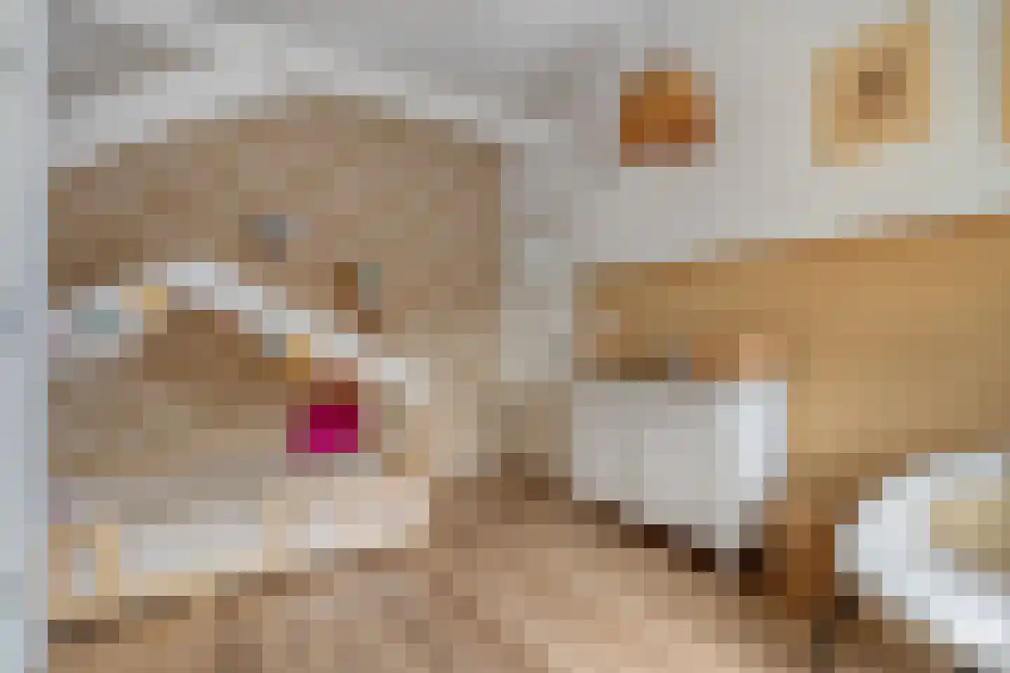 Ambachtsstraat 5 Nieuw Heeten thumbnail 40