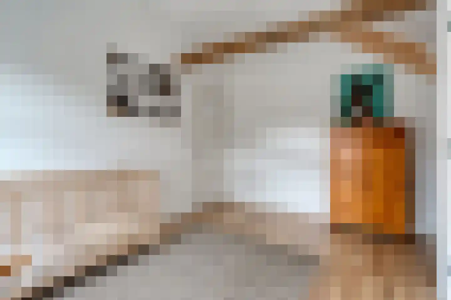 Ambachtsstraat 5 Nieuw Heeten thumbnail 42